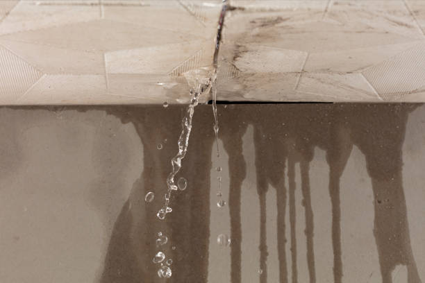 Professional Flood Damage Cleanup technician working in Malone, WI